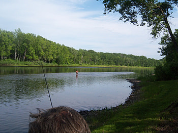 the peshtigo river, river, peshtigo river, river bank HD wallpaper