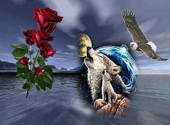 Wolf and Eagle, abstract, roses, eagle, fantasy, animals, wolf, ocean HD wallpaper