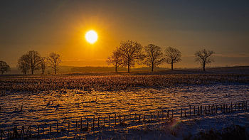 Farm field sun beams, resolution, Rural landscapes, Natural beauty HD wallpaper