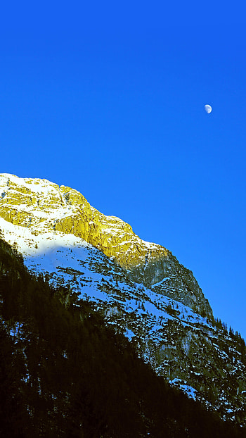 Nature, Trees, Mountains, Moon, Rocks, Snow Covered, Snowbound HD phone wallpaper