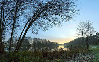 Nature, Twilight, Lake, Shore, Bank, Dusk, Outlines, Evening, Reeds HD wallpaper