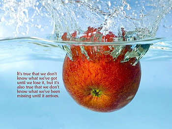 Missed, quote, miss, apple, water HD wallpaper