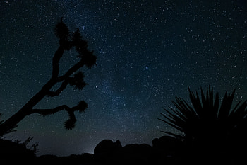 Universe, Stars, Starry Sky HD wallpaper