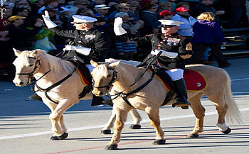 Marines on Horses, marines, recon, usmc, marine corps HD wallpaper
