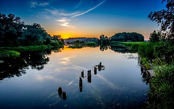 Lake, nature, grass, forest, tree HD wallpaper
