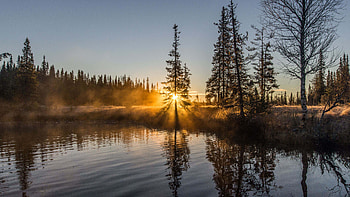 Trees Forest With Fog Under Blue Sky Reflection On Water During Sunset Nature HD wallpaper