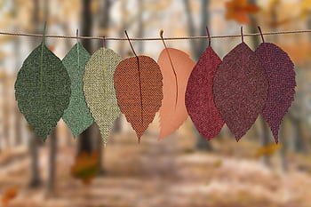 Fabric leaves hang on a rope, showcasing autumn colors in a forest backdrop. HD wallpaper