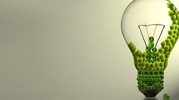 Bulb, Go Green HD wallpaper