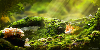 Sleeping fox, fantasy, art, green, vulpe, les trava moh, les trava mox, fox, sleep HD wallpaper
