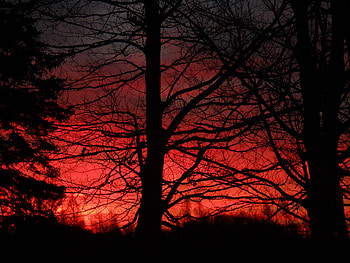 Fire Sky, doomsday, magma, brimstone, sunrise, nuclear, hell, apocalyspe, doom, volcano, autumn, burn, sun, sunset, fall, flame, end, murder, dark, death, dawn, shadows, arson, red, final, sky, fire HD wallpaper