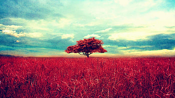 8. hipster--High-Resolution-4- HD wallpaper