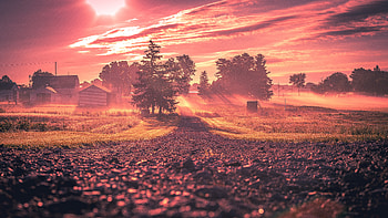 Way To Village , graphy, sunset, evening HD wallpaper