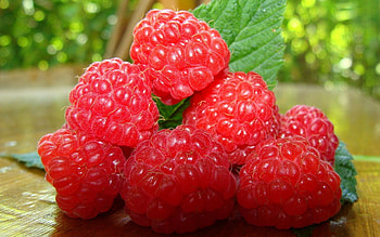 Food, Raspberry, Berry, Ripe, Twig, Sprig HD wallpaper