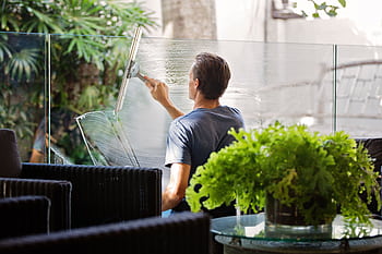 A man cleaning a glass barrier outdoors with a squeegee, surrounded by greenery. HD wallpaper