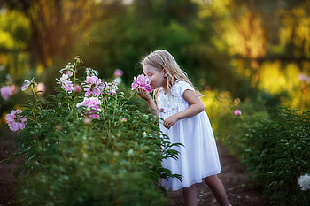 ❤️, garden, girl, flowers, graphy HD wallpaper