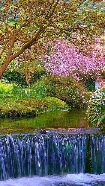 Spring, Spring Season HD phone wallpaper