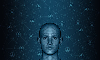 3D, Plexus, Technologies, Technology, Face, Connection, Schemes, Circuitry, Communication HD wallpaper