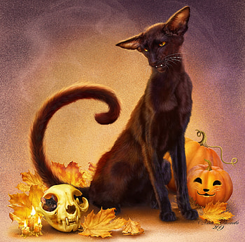 Happy Halloween!, orange, frumusete, black, gorgeous, alenaekaterinburg, cat, superb, halloween, pisici, fantasy, pumpkin, autumn, leaf, toamna HD wallpaper