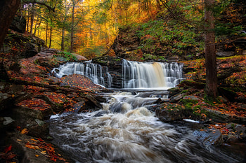 Cayuga Waterfall, Ricketts Glen, Pa., waterfall, nature, forest, usa, autumn HD wallpaper