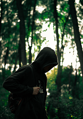 Miscellanea, Miscellaneous, Forest, Human, Person, Anonymous, Hood HD phone wallpaper