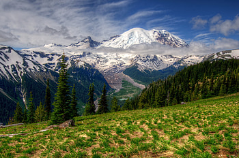 Landscape, Nature, Grass, Mountains, r, Washington, Mt Rainier HD wallpaper