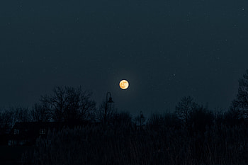 Night, Moon, Dark, Silhouettes, Starry Sky, Darkness, Full Moon HD wallpaper