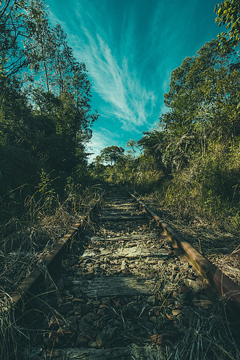 Nature, Trees, Grass, Sky, Railway HD phone wallpaper