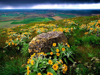 Landscape, landscapes, nature HD wallpaper