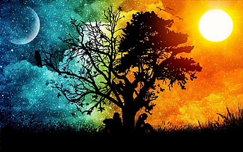 Sun, Vibrant rays, Energetic warmth, Bright skies HD wallpaper