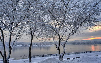 Promenade by Yenisei, Russia, winter, trees, river, Russia, promenade HD wallpaper