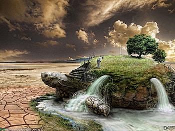 Turtle Falls, falls, turtle, land, tree HD wallpaper