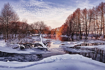 Lovely Winter, winter, trees, river, snow HD wallpaper