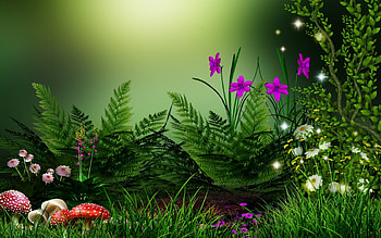 Flowers, Background HD wallpaper