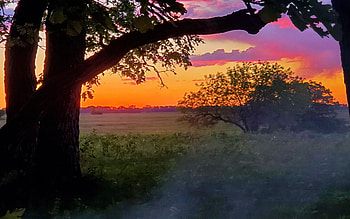 Sunset in North Dakota, colors, landscape, trees, sky, misty, usa HD wallpaper