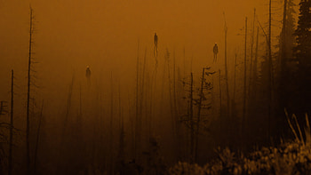 Ghosts From Woods , ghost, forest, artist, artwork, digital-art HD wallpaper