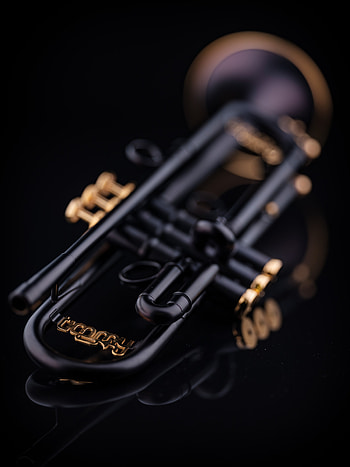 Timmy Trumpet, Schagerl intermediate brass, Vibrant performance, Memorable concert HD phone wallpaper
