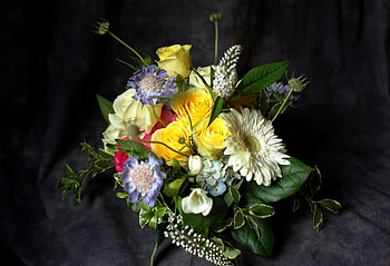Flowers, Roses, Registration, Typography, Bouquet, Composition, Gerbera HD wallpaper
