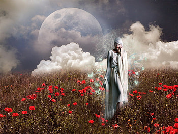 field of Heaven, fairy, white, magic, moon, poppy, field HD wallpaper