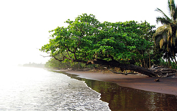 Limbe, Beach HD wallpaper