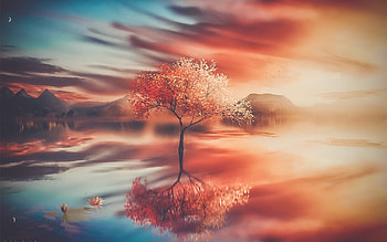 Autumn, tree, sunset, reflections HD wallpaper