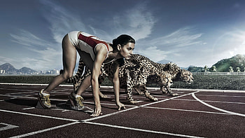 Sports, Animals HD wallpaper
