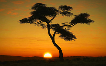Masai , Top backgrounds HD wallpaper