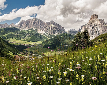Mountain Meadow, snow, landscape, clouds, meadow, nature, flowers, mountains HD wallpaper