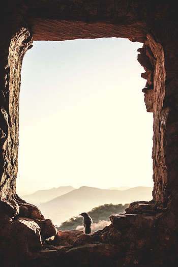 Animals, Nature, Mountains, Shine, Light, Bird, Window HD phone wallpaper