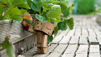Plants, Strawberry, Background, Art HD wallpaper