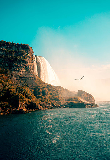 Nature, Birds, Sea, Rocks, Coast, Waterfall HD phone wallpaper