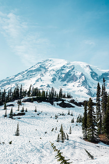 Landscape, Winter, Nature, Trees, Snow, Mountain HD phone wallpaper