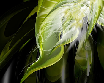 Abstract, Plant, Shine, Light, Bright, Pattern, Figure HD wallpaper