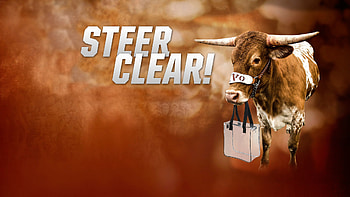 Texas Longhorn Screensavers HD wallpaper