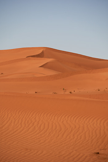 Nature, Sand, Desert, Hill, Dunes, Links HD phone wallpaper